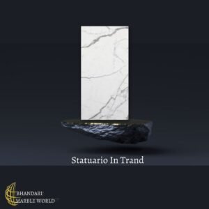 Read more about the article THE SPECIAL WHITE STATUARIO MARBLE STONE