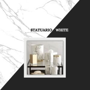 Read more about the article STATUARIO MARBLE-TYPES-USES-PRICE-IMPORTER-EXPORTER