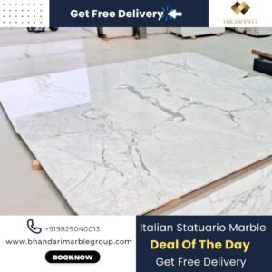 Read more about the article White Statuario Marble In India